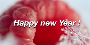 Douce et délicieuse nouvelle année à tous !