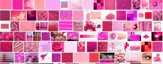 Ephémère, la couleur rose filtrée par le moteur de recherche Google