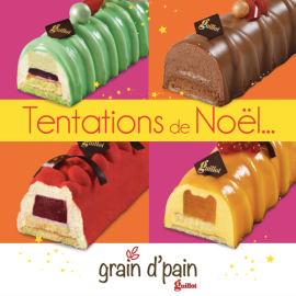 Noël s’affiche en couleurs avec Naturine Lyon