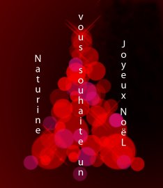 L'agence Naturine vous souhaite de joyeuses fêtes de fin d'année !