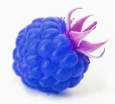 framboise-bleue.jpg