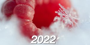 L'équipe de l'agence vous souhaite une délicieuse nouvelle année 2022 !...