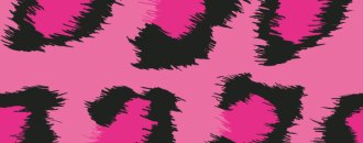 Zoom Pink Panther's Design