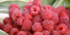 De juillet à septembre, 3 mois pour manger des framboises...